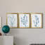 Antique Botanical In Blue VII - Ensemble de 3 peintures sur toile encadrées-2062084388-2062084389