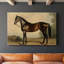 Animaux, paysage, série CXCVII-492769940