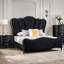 Glam Beautiful-1438421187-1438421184