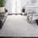 Calidia Oriental Light Gray/Cream Area Rug