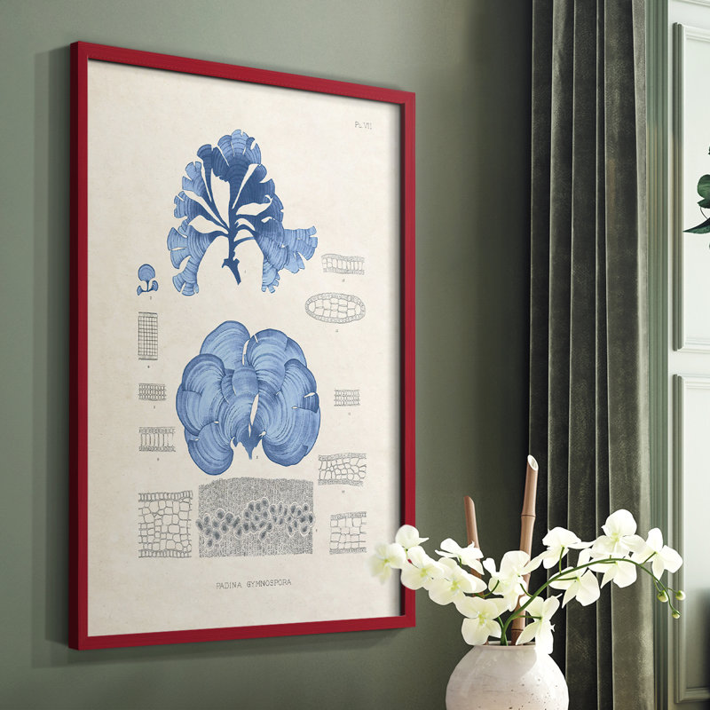 Marine Algae IV, reproduction encadrée - bois massif, Rouge, H 10 po x l 8 po