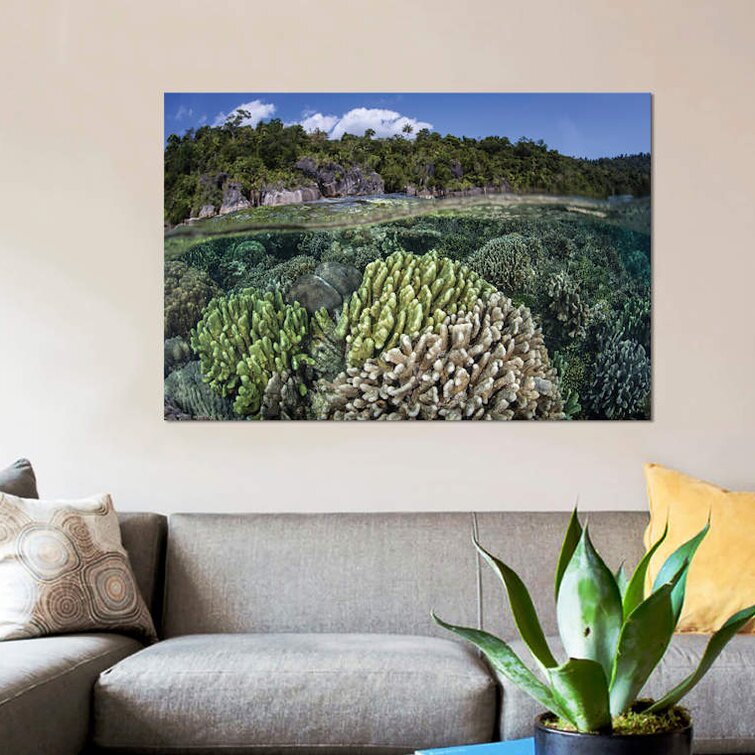 " A Diverse Array Of Reef-Building Corals In Raja Ampat, Indonesia II " by Ethan Daniels on Canvas