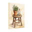 Tabouret avec plantes et fleurs