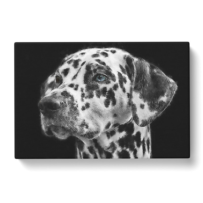 Dalmatian Dog - Wrapped Canvas, 35cm H x 50cm W x 3cm D