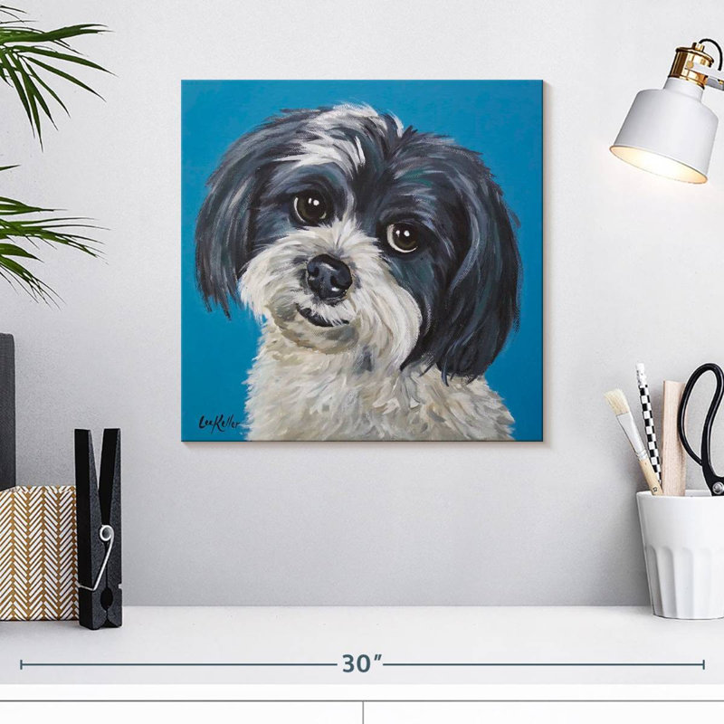 Maltais Shih Tzu Mix Maggie, H 16 po x l 16 po