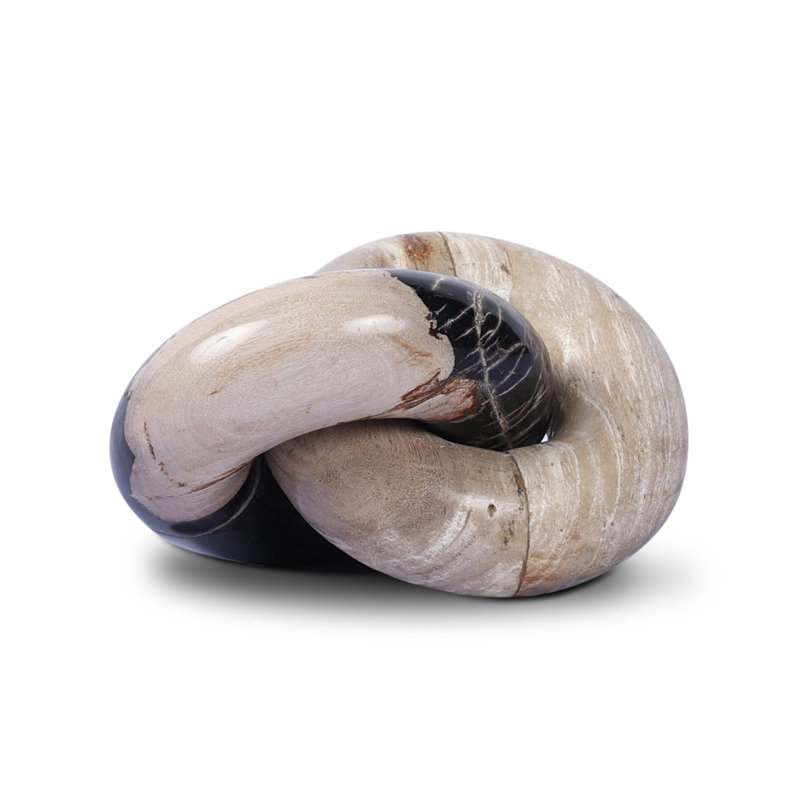 Petrified Wood Knot-Dark Petrified Wood