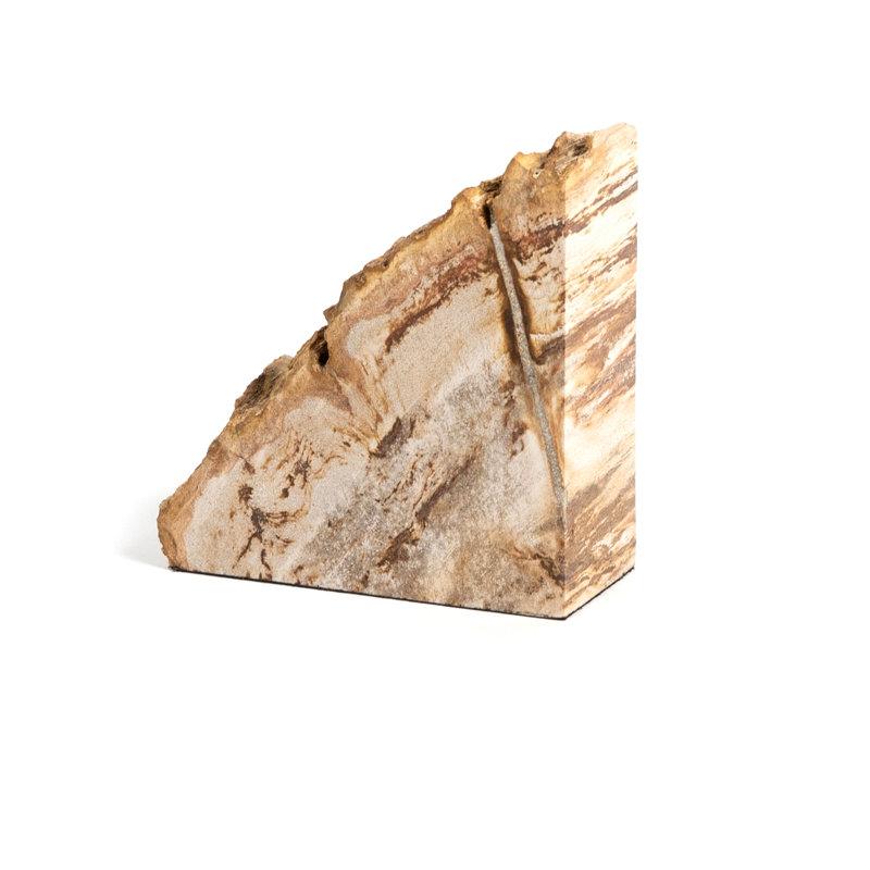 Petrified 2 Piece Wood Book End Set