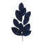Feuille de magnolia scintillante