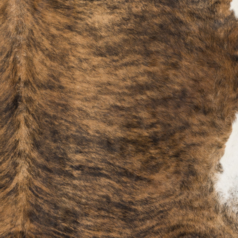 Renay Leather Animal Print Indoor Rug, Novelty 5' x 5'