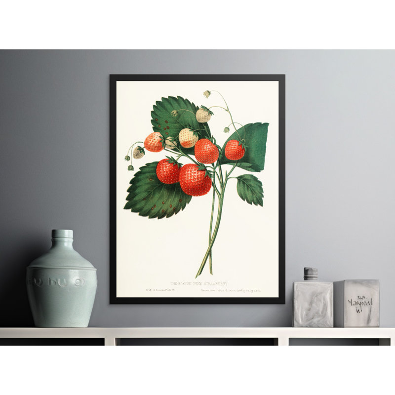 No Frame Print, 18x24
