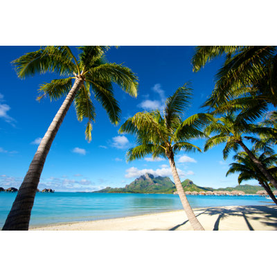 Tropical Paradise In The South Pacific by Ekash - Wrapped Canvas Print