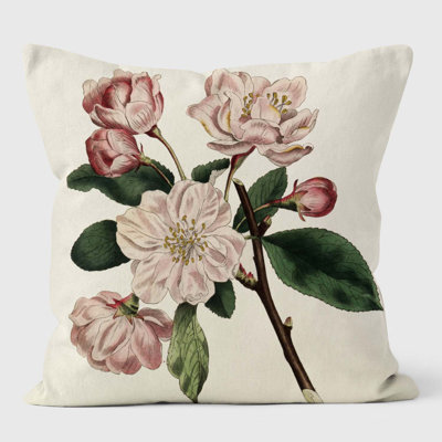 Chinese Flowering Apple Malus - Botanical Cushion