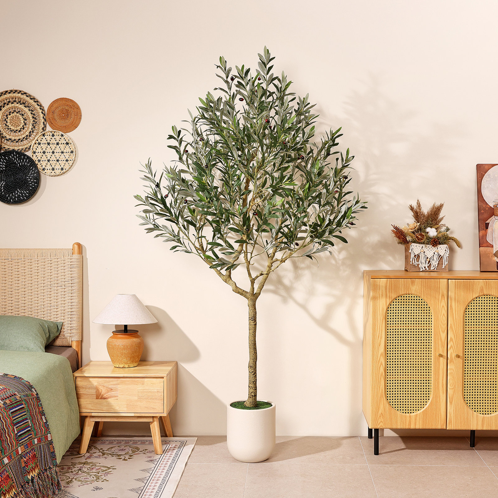 Ashwell Olive Plant in Pot, 86" H x 47" W x 47" D