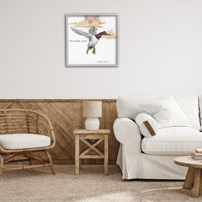 Canvasback Duck Flying Giclee Art by Jadei Graphics