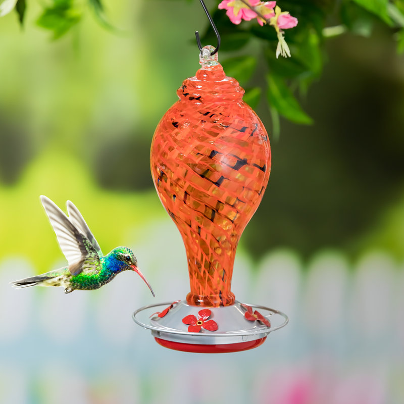 Mangeoire à colibri Ashonna