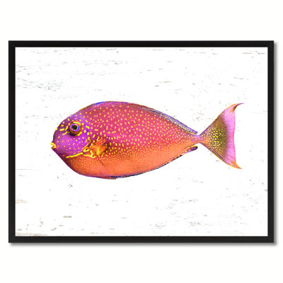 " Pink Tropical Fish "