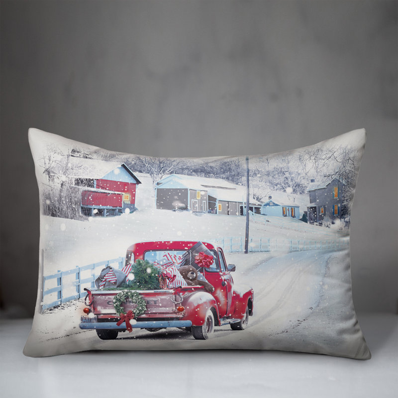 Throw Pillow
