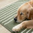 Tapis vert Fresno-112014113