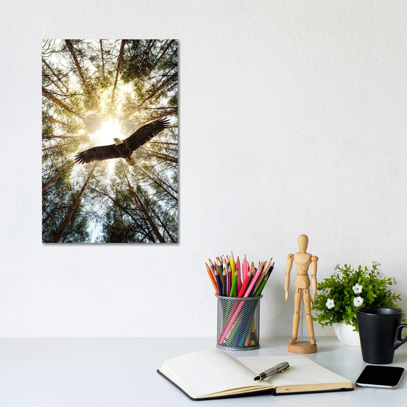 Master Of Heaven Bold Eagle by Nik Rave - Print on Canvas, Wrapped Canvas, 20.32 cm H x 30.48 cm W