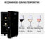 6 Bottle Wine Cooler Thermoelectric Freestanding Wine Fridge