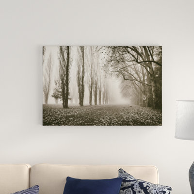 Trees in Fog IV by Jody Stuart - Photograph Print