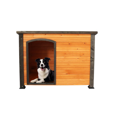 Grand chenil en bois massif 45 po pour l'extérieur et l'intérieur, résistant aux intempéries avec pieds surélevés pour l'hiver