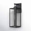 Schlesinger Matte Black Outdoor Wall Lantern-891558572