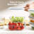 Deardra 22oz. Glass Food Storage Container