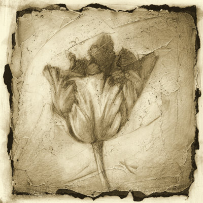 Floral Impression II by Ethan Harper - Wrapped Canvas Art Prints