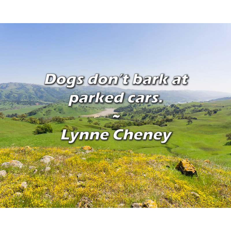 Citation de Lynne Cheney: Les chiens n'aboient pas devant les voitures garées., H 26 po x l 32 po