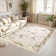 Monaco Series Abrstract Black/Gray/Ivory/Beige Area Rug