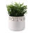Planter Ceramic Round With Sculpted Floral Rim Detailing And Drainage Hole For Decorative Display Or Plant Support-1843449757