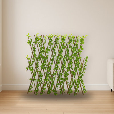Pothos Expandable Fence
