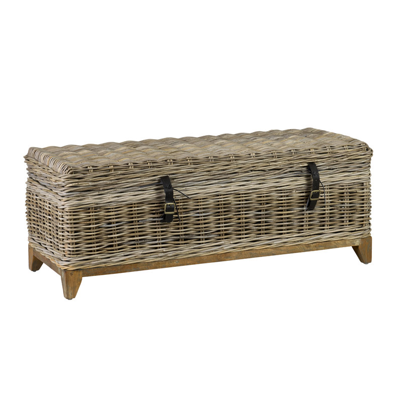Demetri Wicker Storage Trunk
