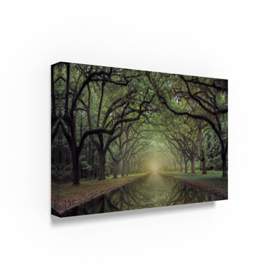 « wormsloe avenue », reproduction de photo sur toile tendue