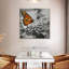 Papillon Brampt-109392993