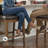 Eugenio Counter Height Barstool (Set Of 2)