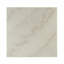 Table basse moderne en marbre blanc Modern Elegance 1pc Luxury Furniture