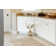 Arendtsville Area Rug