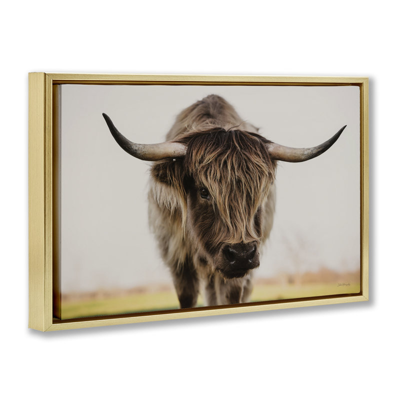 «Longhorn with Piercing Gaze», art mural encadré flottant par Dakota Diener, 21" H x 31" W, Cadre flottant métallique doré