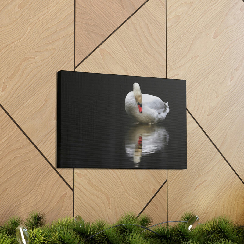 No Frame Print on Canvas, 30.48cm H x 40.64cm W