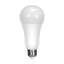 16.5 Watt LED Bulb-59018163