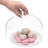 Bomani Glass Cake Dome Display Cover