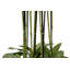 155cm Faux Flowering Plant in Pot