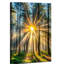 Wrapped Canvas Print-559093264