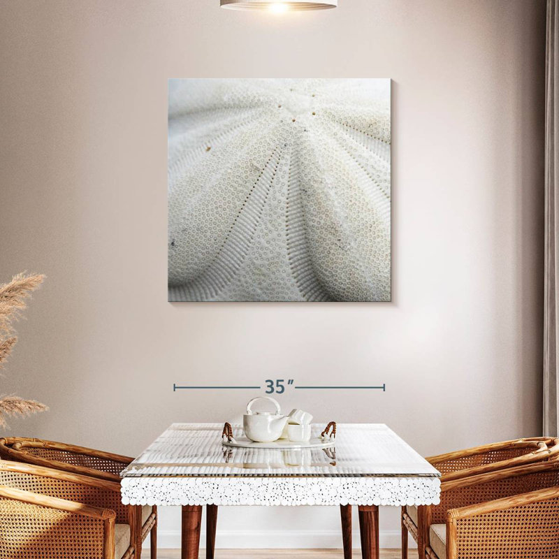 Crowle Textured Sand Dollar, 36" H x 36" W