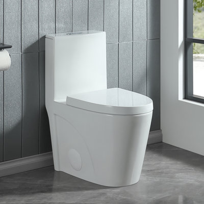 1.1/1.6 GPF Dual-Flush Elongated One-Piece Toilet with 17.13 in. Comfort Seat Height, Ceramic Glazed Surface(Soft Close Seat Included), Glossy White