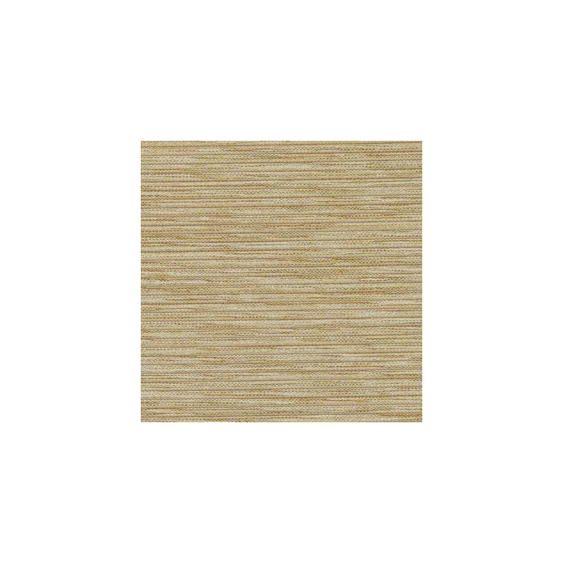 Tissu sophistiqué Suite II, Paille