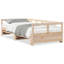 Rezo Solid Wood Daybed-1824206857-1824206858