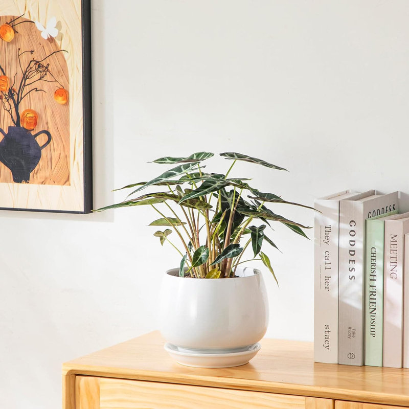 Planter, White